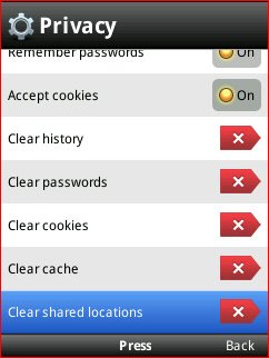 Opera Mobile 10.1 - Privacy Menu 